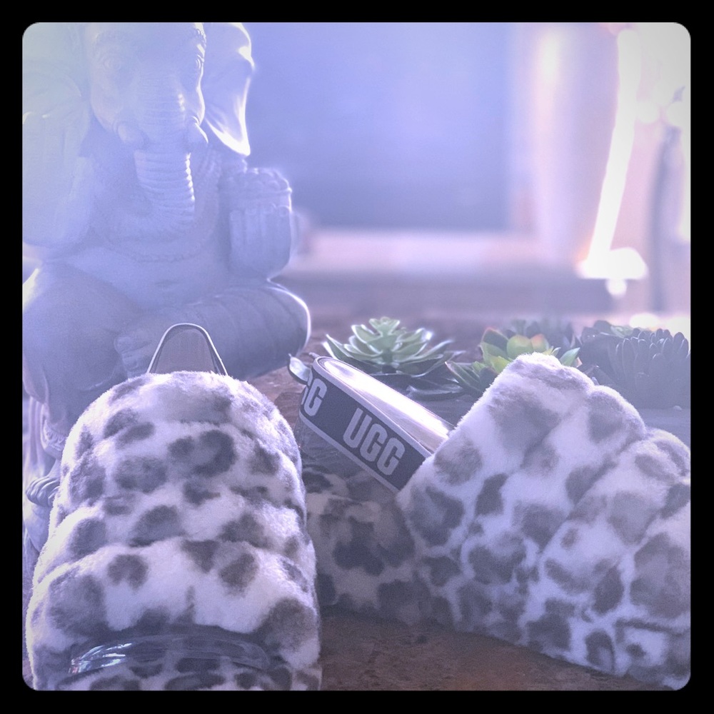 Welcome to the Jungle!